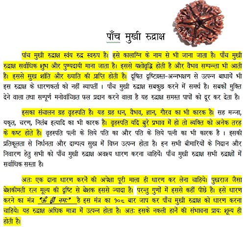 Most Beautiful RUDRAKSHA MALA with GLOD Plated (54+1) Bead with 5 MUKHI RUDRAKSHA