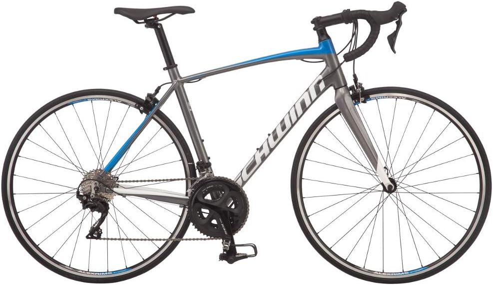 Schwinn Fastback Carbon Road Bike