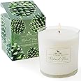 Soap & Paper Factory Roland Pine 9.5 oz Large Soy Candle