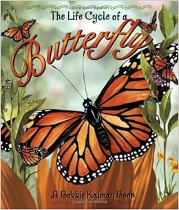 The Life Cycle Of A Butterfly Bobbie Kalman Margaret Amy