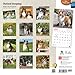 Shetland Sheepdogs 2015 Square 12x12