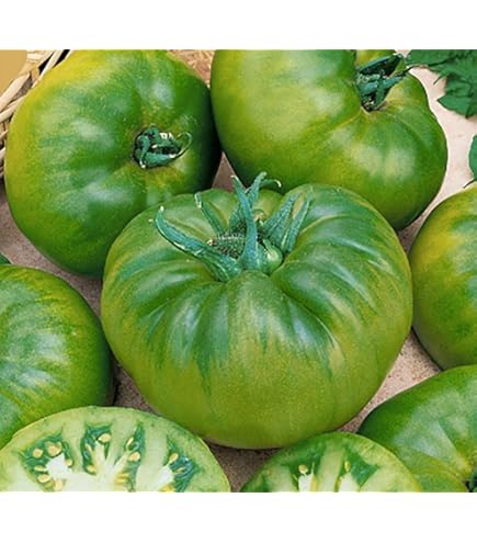 フライド・グリーン・トマト('91米) Amazon.com : Fried Green Tomato Hybrid Tomato Seeds (40 Seed