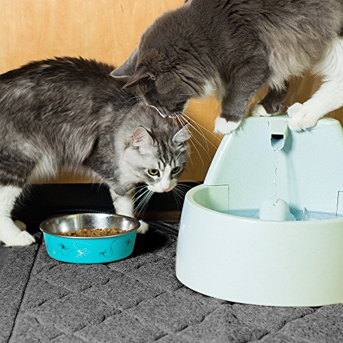 Jumbo Litter Mat 47" x 36" Cat Litter Mat, Traps Messes, Easy Clean, Durable, Non Toxic Trapper Rug - Litter Box Mat, Cat Mat, Kitty Litter Mat