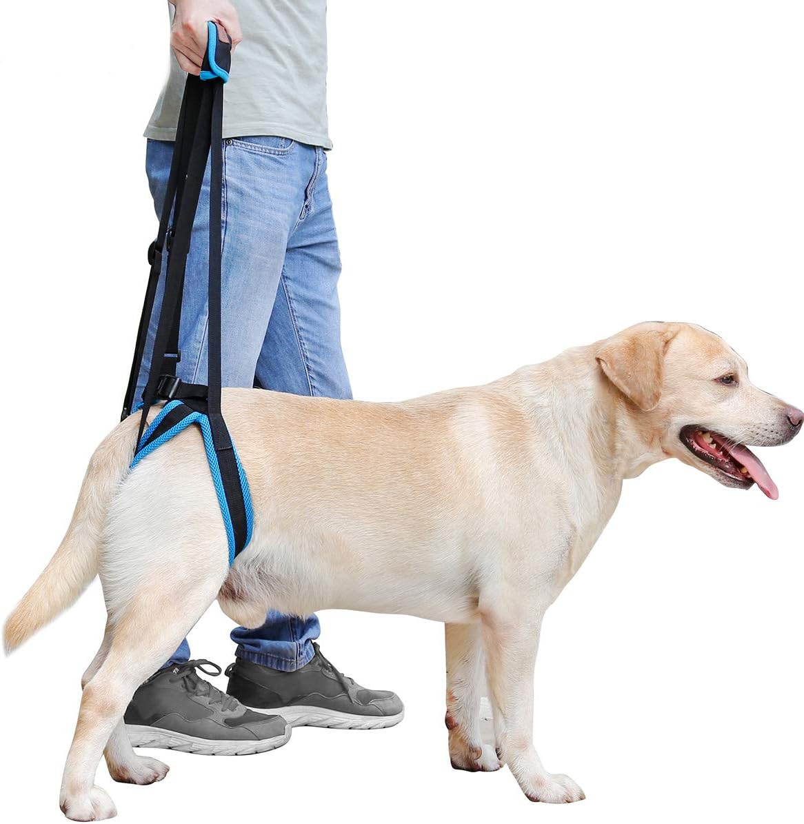 Imbracatura Supporto Per Cani Anziani - Sling 2-in-1 Per Zampe Posteriori E Sollevamento (Nero, Medio)