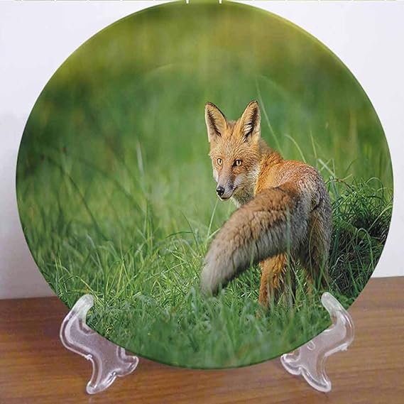 Amazon.com: 10" Fox Decor Ceramic Dinner Plate The Red Fox with Fluffy