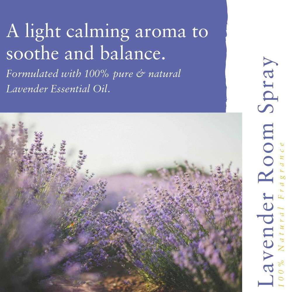 Absolute Aromas, purple, 100 ml (Pack of 1) - Image 3