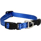 Rogz Utility Small 3/8-Inch Reflective Nitelife Dog Collar, Blue
