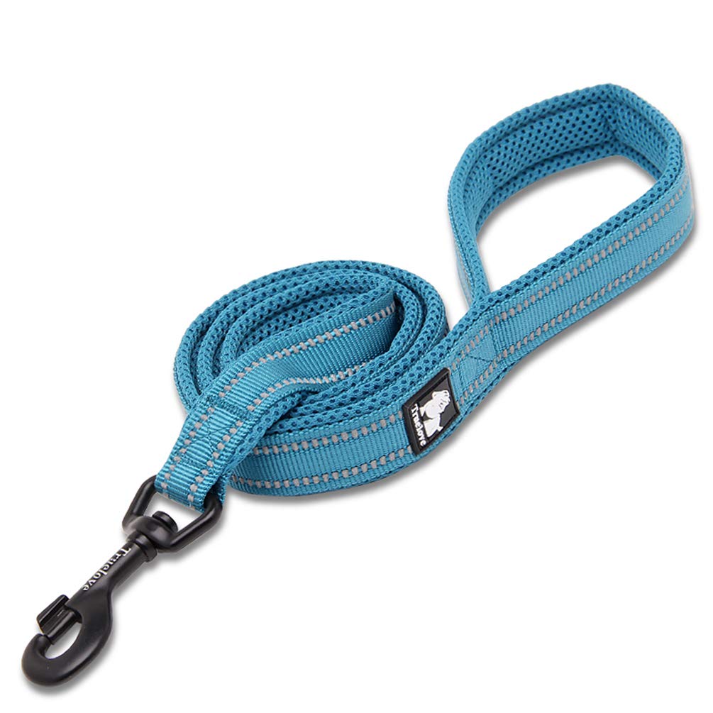 WINHYEPET True Love Dog Leash Nylon Reflective Comfortable Handle Lead Puppy Training Walking Rope Easy Control Suitable Small Medium Large Breeds 200cm Length TLL2112(Blue,L)