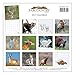 2017 Montana Wildlife Wall Calendar