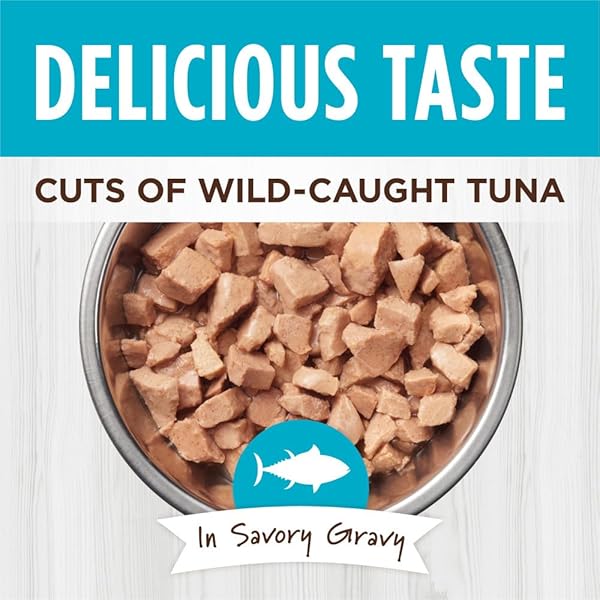 INSTINCT HEALTHY CRAVINGS GRAIN FREE REAL TUNA RECIPE NATURAL WET CAT FOOD TOPPER BY NATURE’S VARIETY, 3 OZ. POUCHES (CASE OF 24)