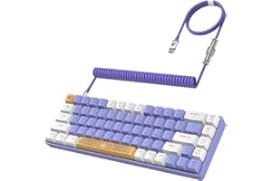 ZIYOU LANG RK-T8 Wired 65% Mechanical Gaming Keyboard with RGB LED Backlit Anti-ghosting TKL Mini 68 Key Custom Coiled C to A