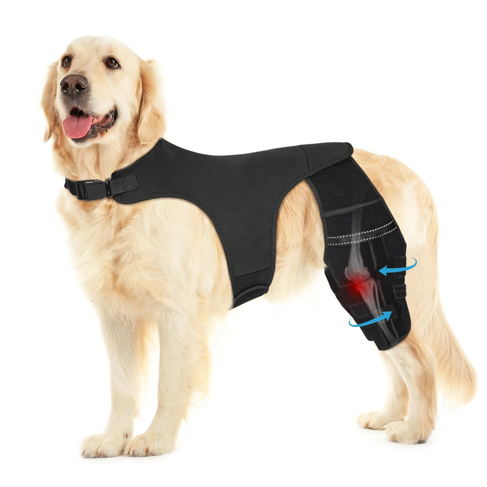 Photo 1 of Pawfun Dog Knee Brace for Torn ACL Hind Leg, Adjustable Dog Leg Braces for Back Leg with 4 Metal Stabilizers Helps with Torn CCL, Luxating Patella, Ligament Injuries, Hip Dysplasia,XL