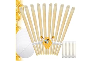 HANNAHCOS 10PCS Ear Wax Removal 10Pcs, Earwax Remover Ear Cleaning Tool (001)