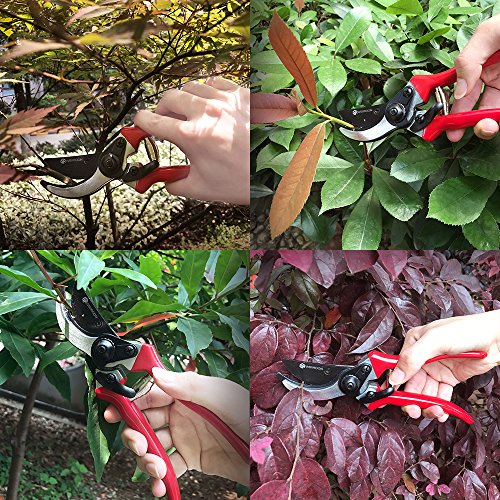 wsiiroon Pruning Shears Sharp Bypass Garden Pruning Tools, High Carbon Steel Blade, Ergonomic Angled Design, Durable, Comfortable, Best Hand Pruner for The Garden