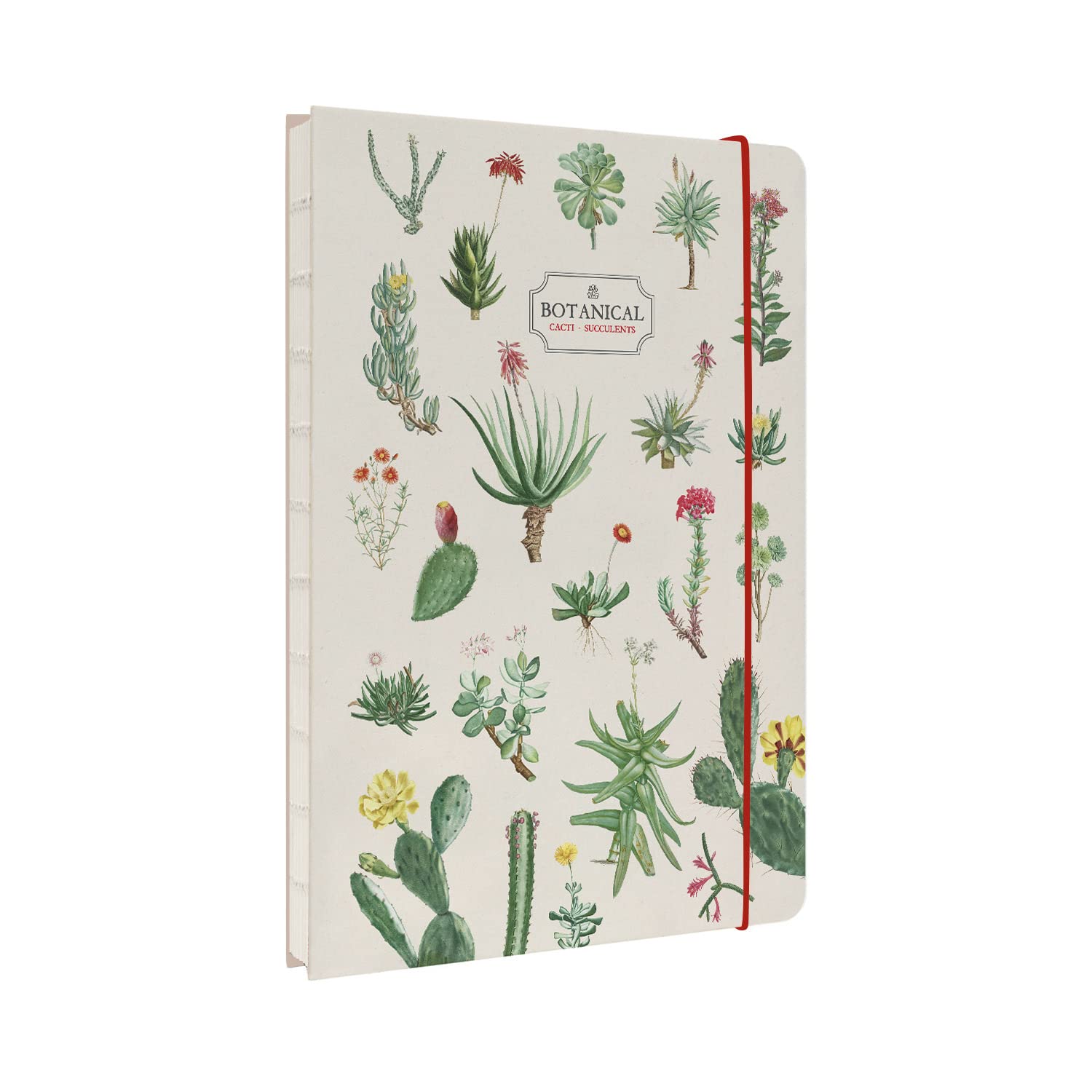 Kokonote A5 Notebook Hardback - Botanical Cacti & Succulents | Bullet Journal Dotted Note Book, Dotted Notebook A5 Sketchbook | Cute Stationery Gifts Under 10 Pounds