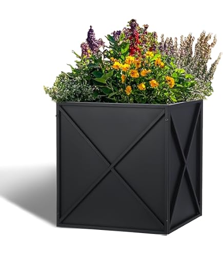 Amazon.com : Kante Square Lion Head Concrete Planter, Classic