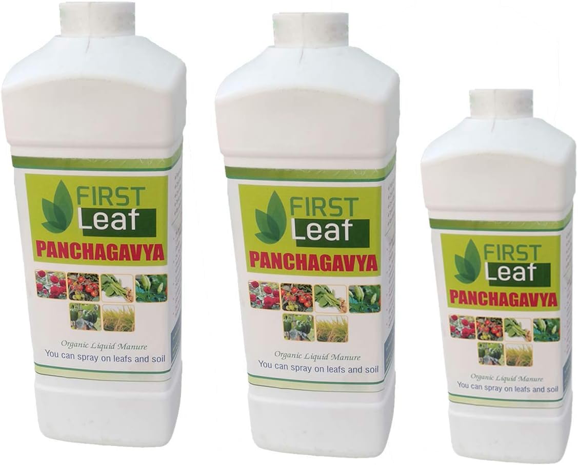First Leaf - 2.5L Panchagayva Organic Fertilizer Growth Yield & Bloom Booster for Plants