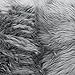 Faux Fake Fur Long Pile Luxury Shaggy/Craft, Sewing, Cosplay, Costume, Decorations / 60