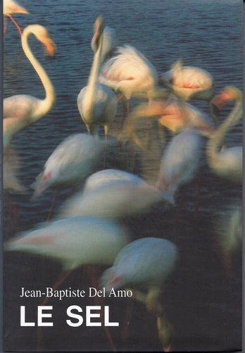 Sel, le