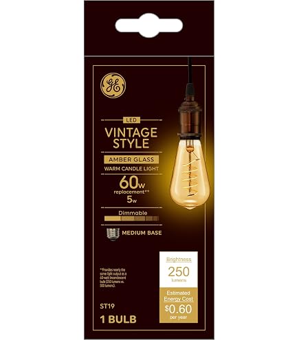 GE General Electric Vinta Small 40W Amber ST19 (2-Pack) - Amazon.com
