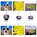 VicTsing 3 in 1 Fisheye Camera Lens, Macro Lens, 0.65X Wide Angle Lens, Clip on Cell Phone Lens Kits for iPhone 8, iPhone 7, 6s, 6, 5s , Android and Most Phones