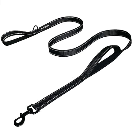 6ft dog leash