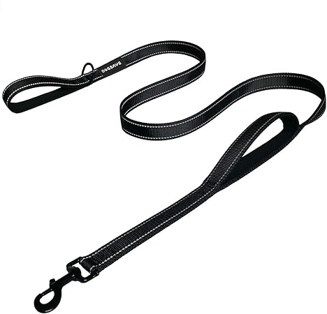 double loop dog leash
