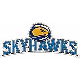 Rico Industries NCAA Fort Lewis Skyhawks Primary Shape Cut Pennant