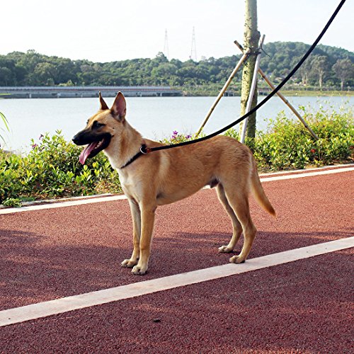 lynxking Dog Leash Slip Rope Lead Leash Strong Heavy Duty Braided Rope No Pull Training Lead Leashes for Medium Large Dogs (6', Red)