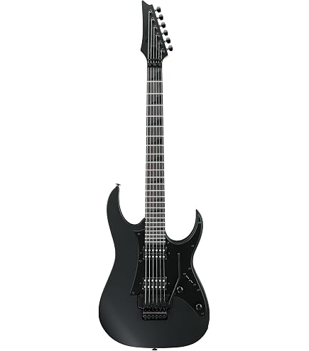 Ibanez RG421EX-BKF Electric Guitar : Amazon.ca: Musical