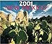 New Mexico (Millennium 2001) by 