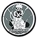 Naruto Shippuden: Kakashi Chronicles - Kakashi Chidori Anime Patch