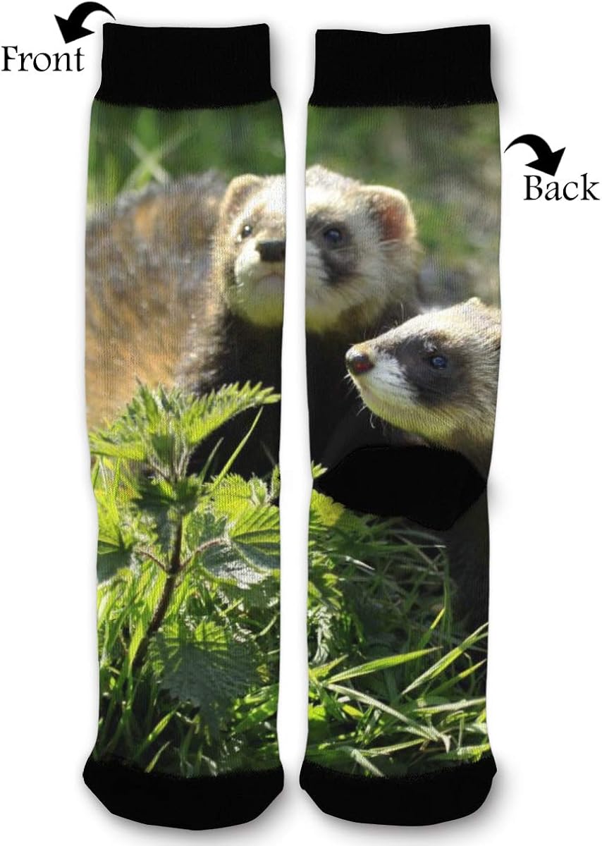 Amazon.com: Wildlife Animal Ferret High Ankle Socks,Men Women All