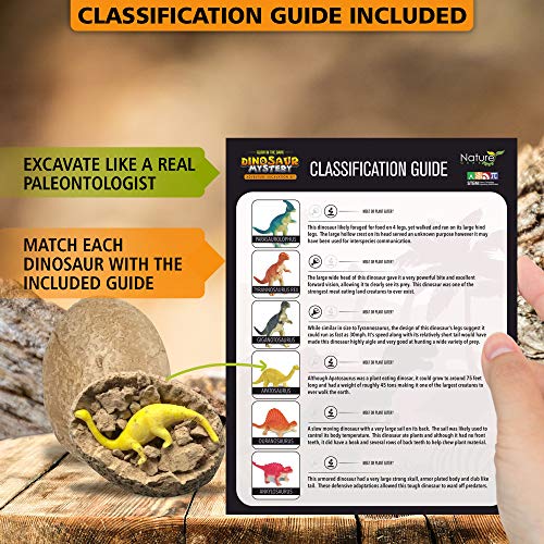 Nature Gear Glow in The Dark - 12 Mystery Excavation Adventure Dinosaur Eggs Kit - Science STEM Learning Kids Activity - Thumbnail 6