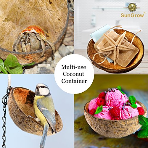 4 SunGrow+Hermit+Crab+Food+Bowls