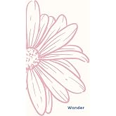Wonder Journal