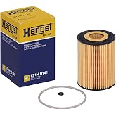 Hengst E71H D141 Oil Filter