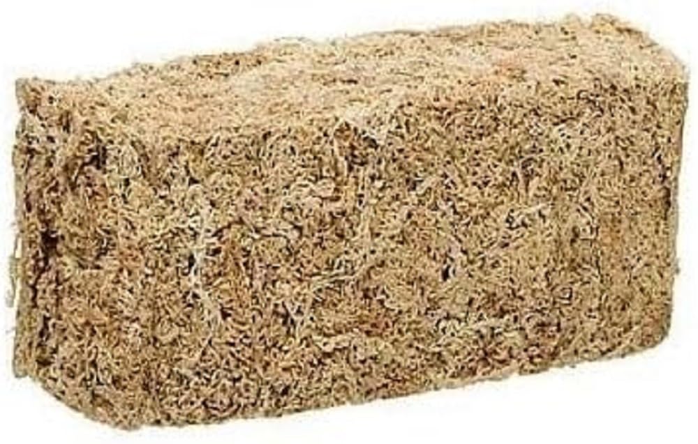 Zoo Med New Zealand Sphagnum Moss 150 Grams,Black