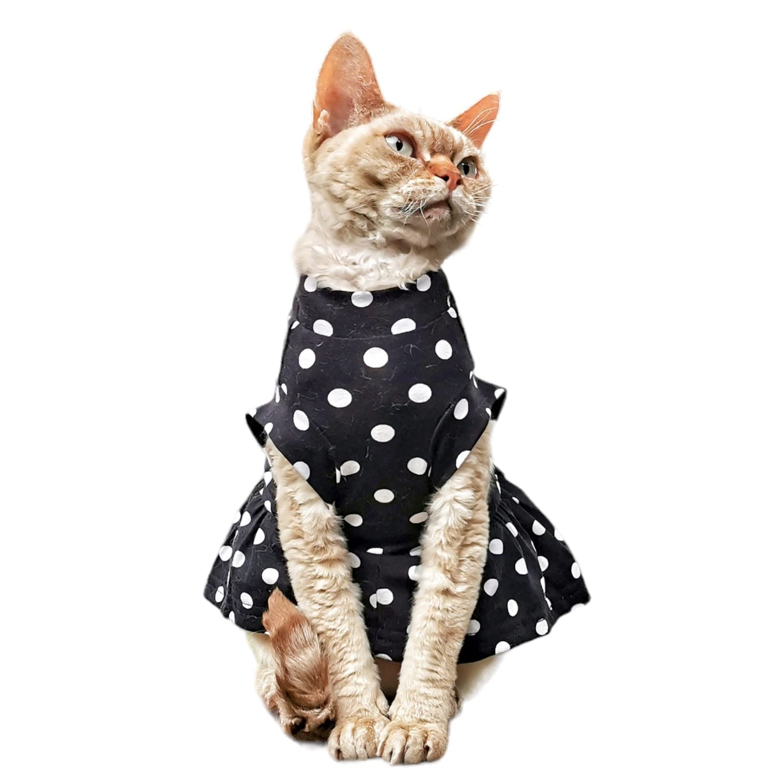 Kotomoda Cat's T-shirt Polka dot dress for Sphynx and naked cats (Medium)