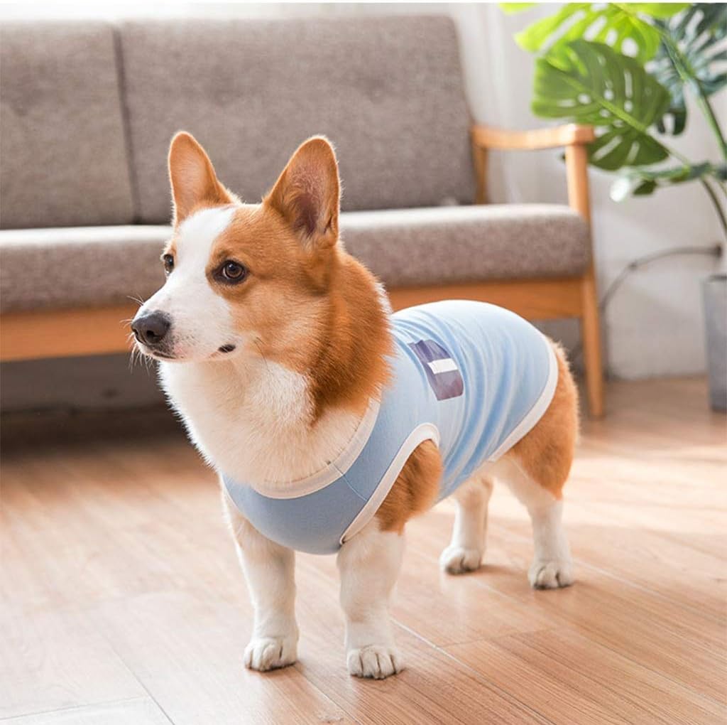 Amazon Qlms 犬の服コーギー犬の特別な夏の薄いセクション春ベスト夏の短い脚の方法バケツペット小型犬の春と秋 色 青 サイズ さいず L L Qlms コスチューム 通販