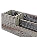 MyGift Rustic Torched Wood Desktop Pencil Cup/Pen Caddy and 2 Slot Letter Sorter Office Accessory Organizer Station