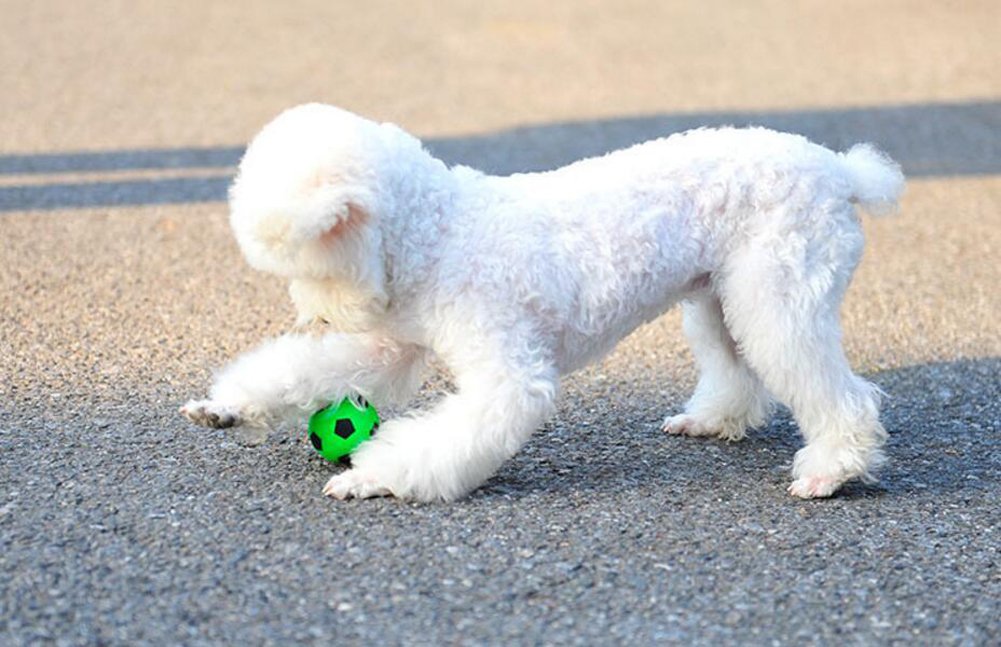 Demarkt Perro de juguete de la bola de goma hinchable bola de la ...