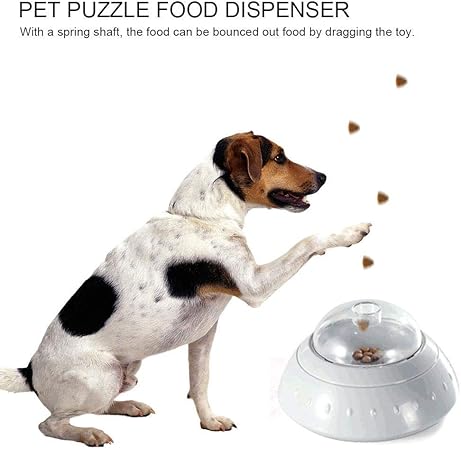 roller bowl dog bowl