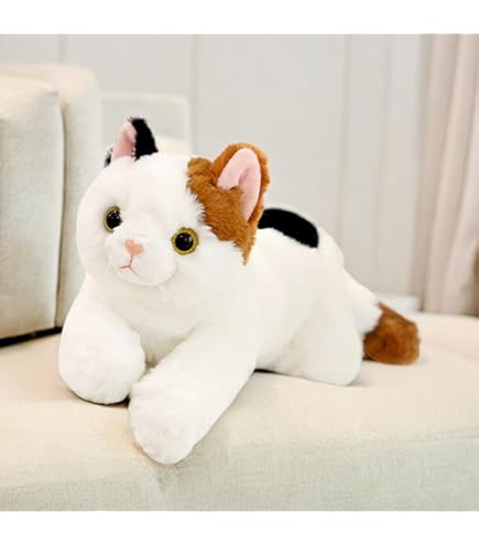 Amazon.com: Aurora - Peek A Boo - 12