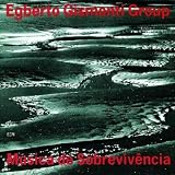 MUSICA DE SOBREVIVENCIA                            image