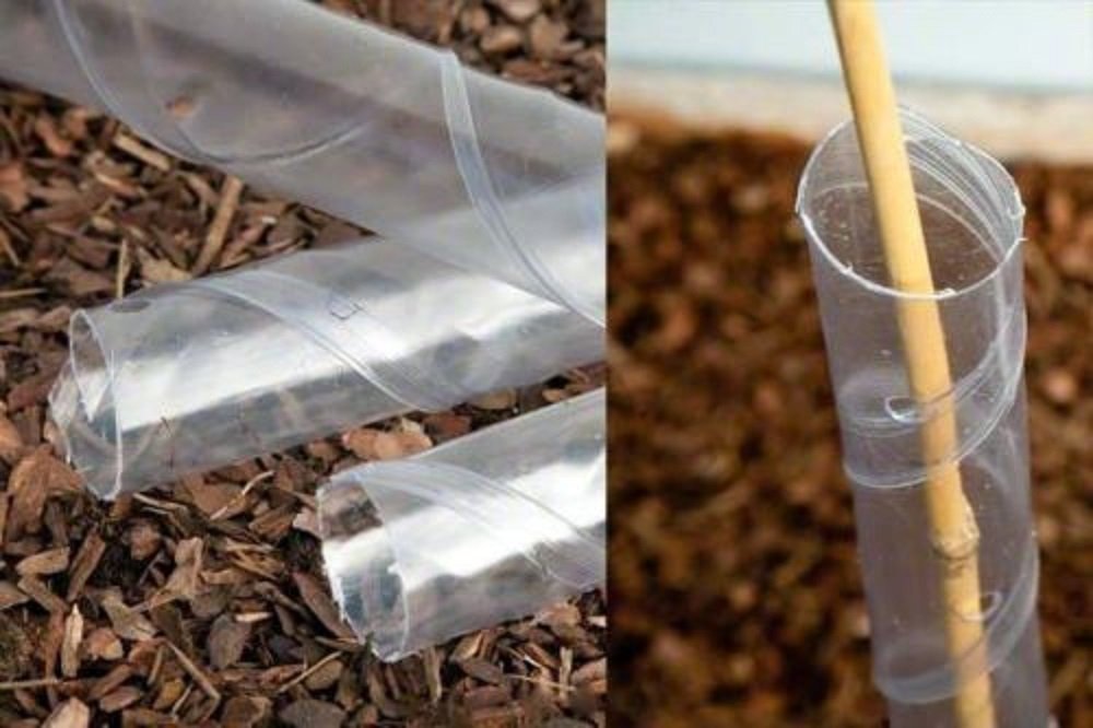 100 x 60cm Hedge, Tree Spiral Guards, Rabbit Shelter and 100 x 90cm Bamboo Canes