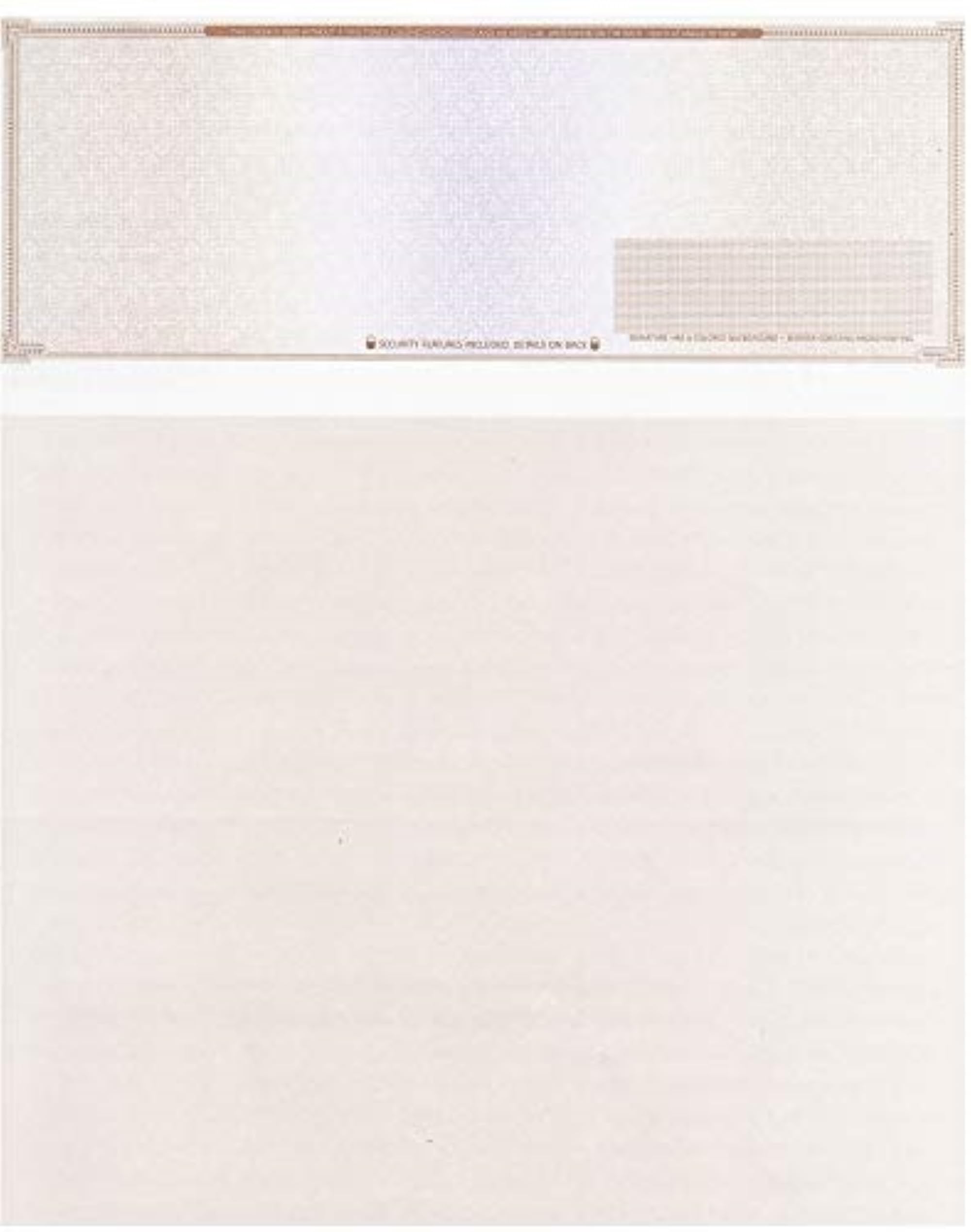 1000 Blank Check Stock - Check on Top Mazed - Paper