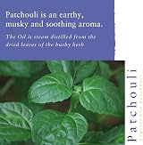 Absolute Aromas Patchouli Essential Oil 10ml Pure Natural Undiluted view 2
