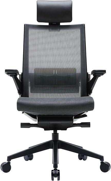 SIDIZ T80 Highly Adjustable Ergonomic Office Chair (T800HLDA): German Ultimate Sync Mechanism for Extreme Comfort, Headrest, Ventilated Mesh Back, Lumbar Support, 3D Arm, Seat Slide/Slope (Dark Gray)
