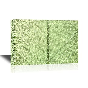 Canvas Wall Art - Leaf of a Plant Close Up - Gallery Wrap Modern Home Art | Ready to Hang - 12x18 inches